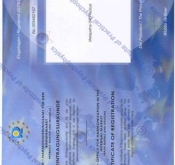 Certificate of registration 