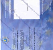 Certificate of registration 